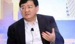 爆料徐小平视频大全集,揭秘创业导师的智慧与风采